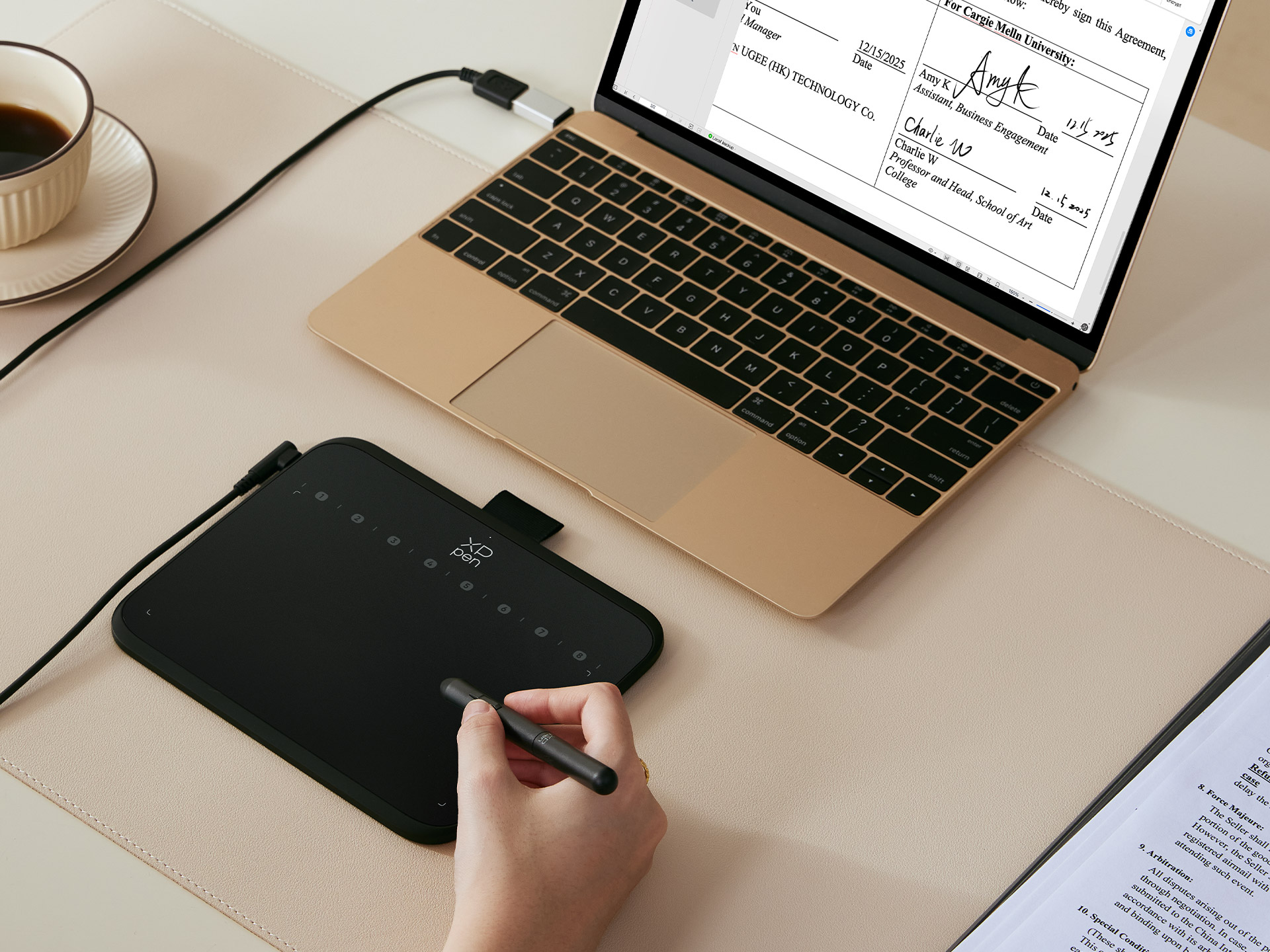 XP-PEN ペンタブレット本体と付属品セット XPPen エックスピーペン Artist 12セカンド 豪華版 ブラック